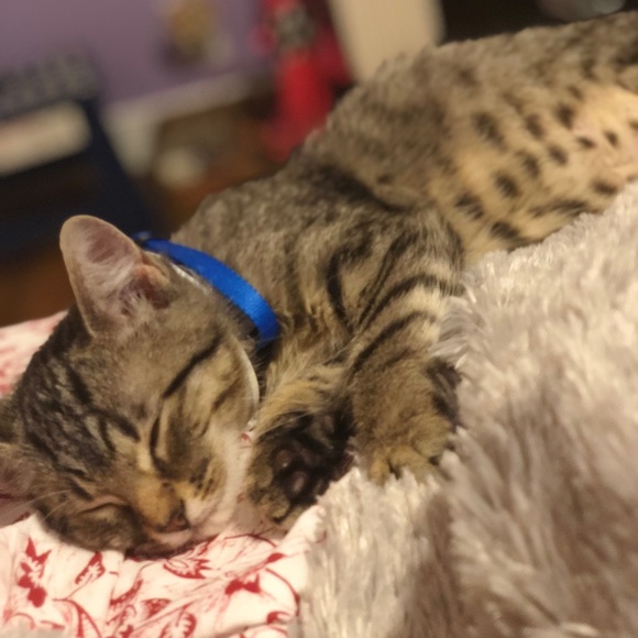 Meet your Posher, Natalie - Picture 1 of 1